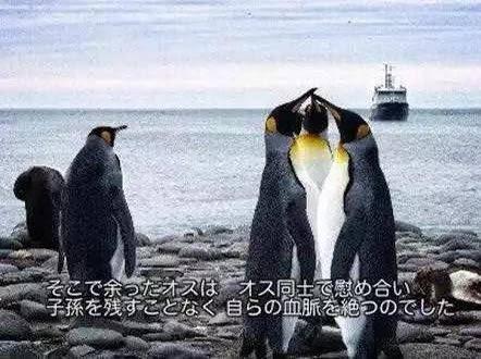ネットミーム